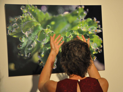 Bild4